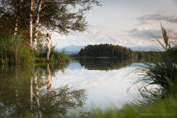 Dessousfotos - Aktfotos München: Natur-Shooting #6632