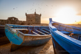 Essaouira Hafen, Mogador, Marokko | 8801 | Copyright Effinger
