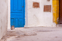 Essaouira, Marokko | 6586 | Copyright Effinger