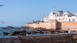 Essaouira, Marokko | 6670 | Copyright Effinger