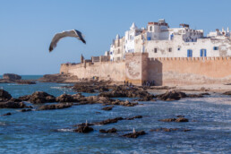 Essaouira, Marokko | 6685 | Copyright Effinger