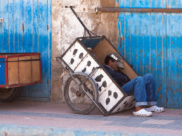 Essaouira, Marokko | 6960 | Copyright Effinger