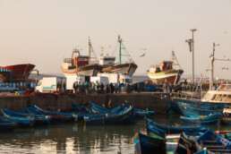 Essaouira, Marokko | 8840 | Copyright Effinger