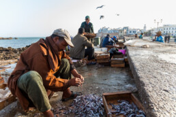 Essaouira, Marokko | 8846 | Copyright Effinger