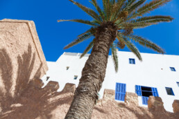 Essaouira, Marokko | 9157 | Copyright Effinger